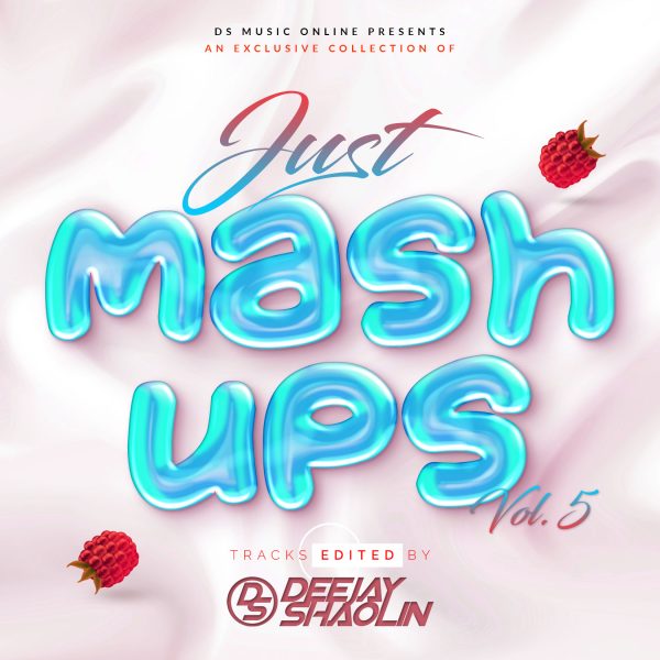 JUST-MASHUPS-VOL-5